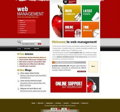 網頁設計中的模板圖片 提升效率與美感的完美結合