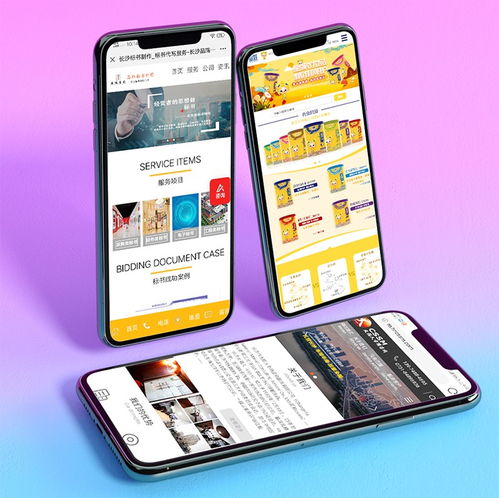 簡界網(wǎng)絡 一站式長沙網(wǎng)站建設推廣與運維營銷解決方案