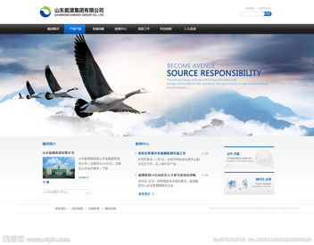 公司網(wǎng)站圖片與計算機網(wǎng)絡工程 構(gòu)建高效視覺與數(shù)據(jù)交互平臺